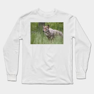 Coyote Long Sleeve T-Shirt